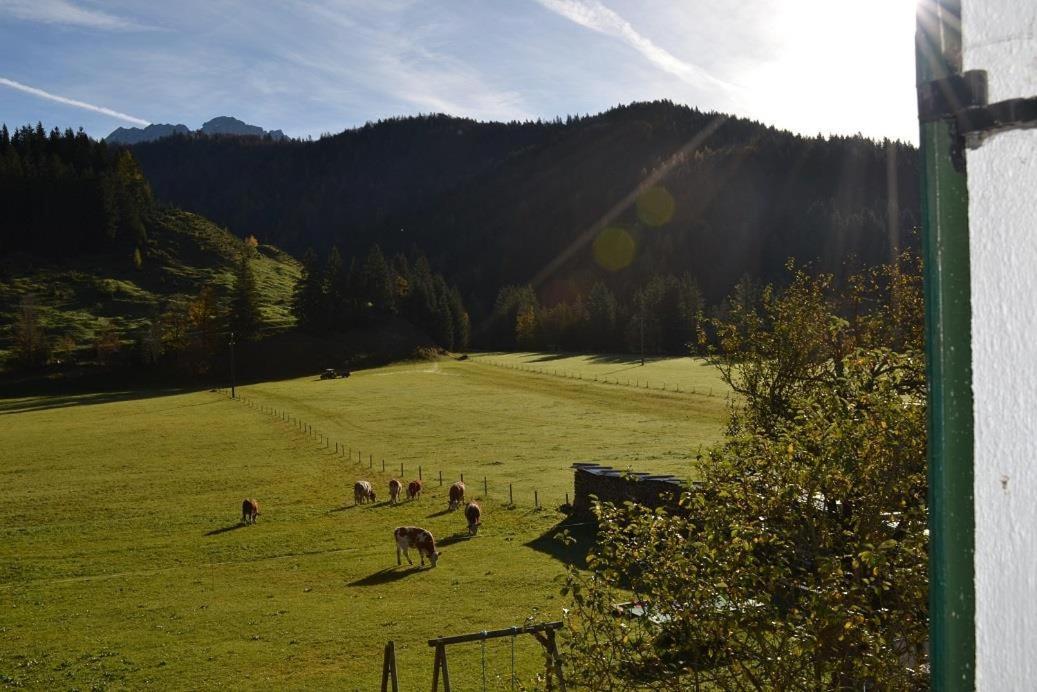 Ferienwohnungen Foidlhof Hochfilzen Buitenkant foto