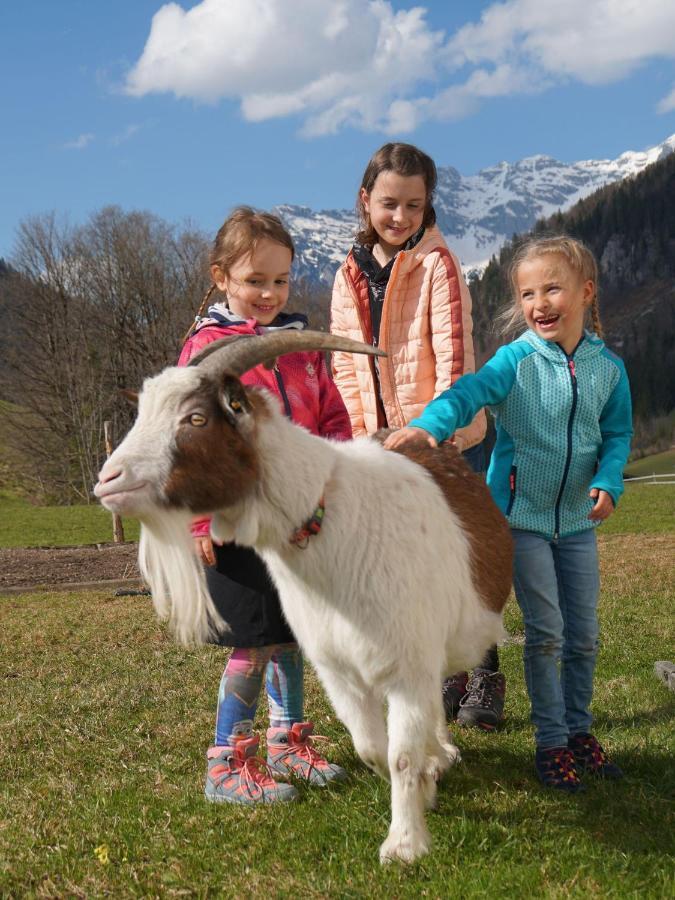Ferienwohnungen Foidlhof Hochfilzen Buitenkant foto