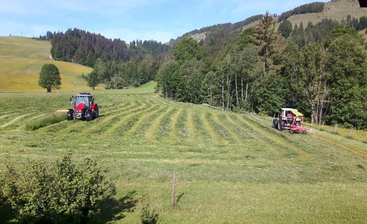 Ferienwohnungen Foidlhof Hochfilzen Buitenkant foto